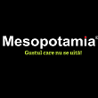 Mesopotamia logo